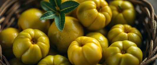 The Nutritional Powerhouse: Exploring the Benefits of Amla in Your Diet